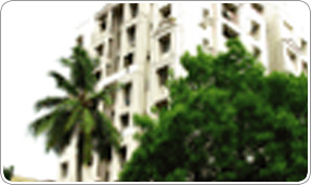 SRINIVASA_SHIPPING