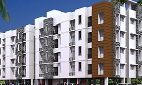 doshi-first-nest-2