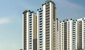 jains-la-verde-mare-1
